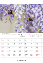 ecoris_calendar_2023_05.png