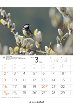 ecoris_calendar_2025_03.png