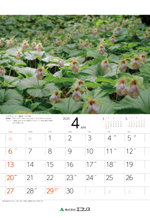 ecoris_calendar_2025_04.png