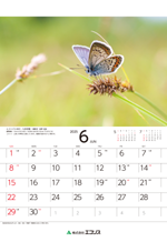 ecoris_calendar_2025_06.png