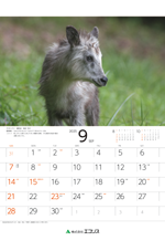 ecoris_calendar_2025_09.png