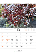 ecoris_calendar_2025_10.png