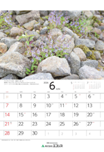 ecoris_calendar_2026_06.png