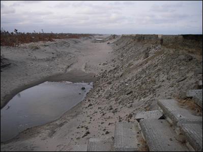 壊れた防潮堤と堀込まれた後背地（2011.5.5）